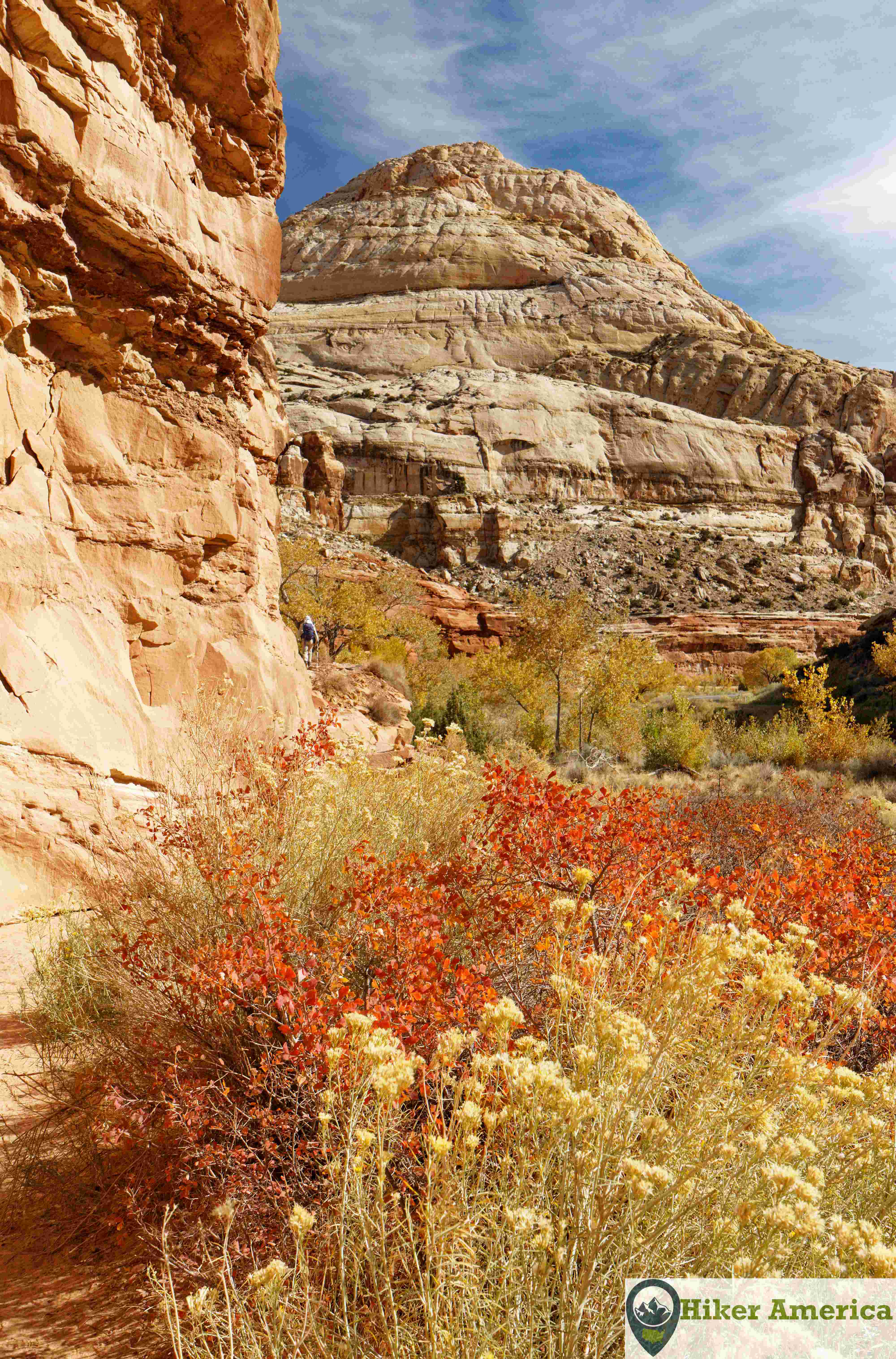 Rim Overlook/Navajo Knobs hiking trail view